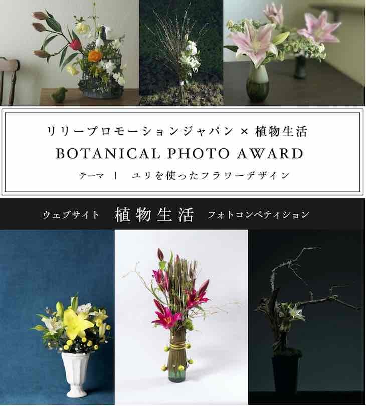 リリープロモーションジャパン × 植物生活 BOTANICAL PHOTO AWARD 「ユリデザイン作品（第二弾）」 大募集！