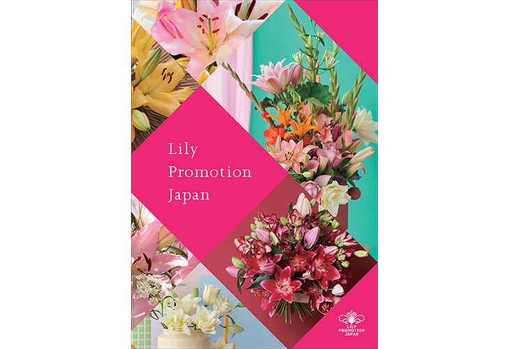 Lily Promotion Japan リーフレット