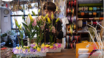 ひな祭りのアレンジメント　花のたかはし＿高橋由典さん