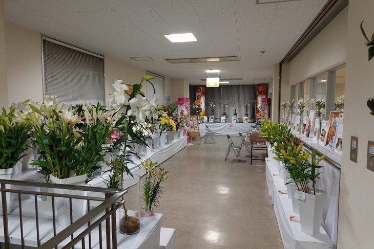 『第10回京の花絵巻』でユリの香り展示
