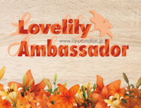 Lovelily Ambassador FBページ始まる
